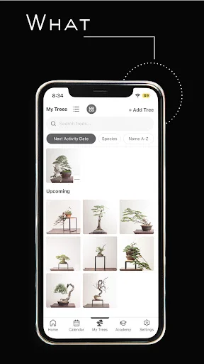 Mirai Mobile: Tu Guía Personal de Bonsái – Descarga la App - Screenshot 15