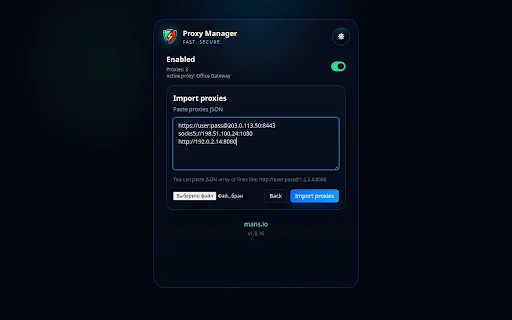Proxy Manager: Gestiona tus proxies fácilmente en el navegador - Screenshot 3