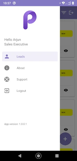 ProLeads: Gestiona tus Leads y Aumenta tus Ventas de Forma Eficiente - Screenshot 3